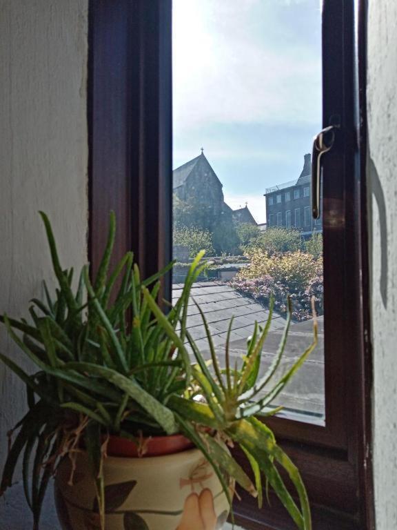 Townhouse Wexford Villa Esterno foto